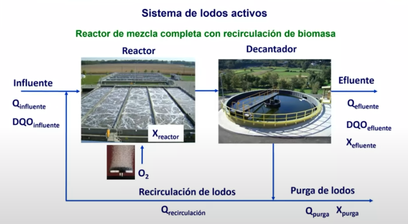 Diagrama de un sistema de lodos activos